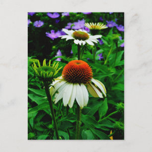 Witte en Oranje kloonbloemen Briefkaart