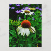 Witte en Oranje kloonbloemen Briefkaart (Voorkant)