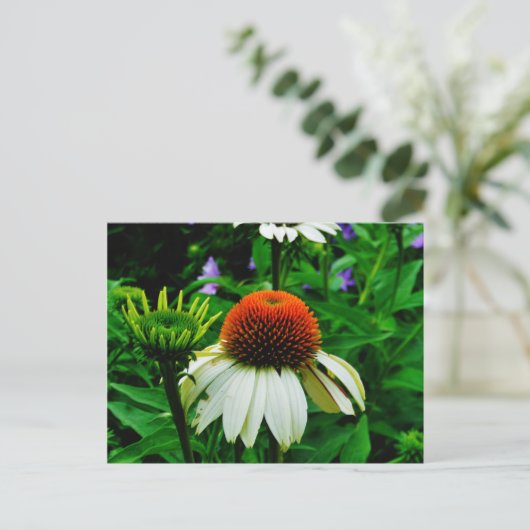 Witte en Oranje kloonbloemen Briefkaart (Staand voorkant)