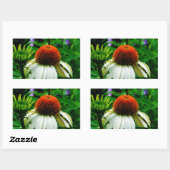 Witte en Oranje kloonbloemen Rechthoekige Sticker (Vel)