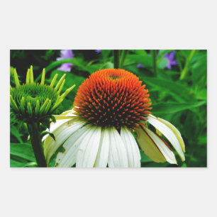 Witte en Oranje kloonbloemen Rechthoekige Sticker