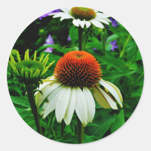Witte en Oranje kloonbloemen Ronde Sticker