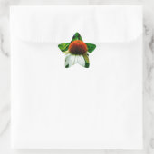 Witte en Oranje kloonbloemen Ster Sticker (Tas)