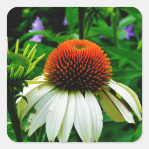 Witte en Oranje kloonbloemen Vierkante Sticker
