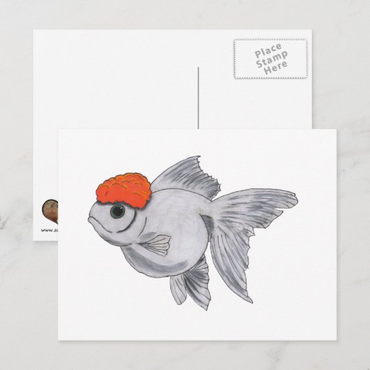 Witte en Oranje oranda Goldfish Aquarium Pet Fish Briefkaart (Voorkant / Achterkant)