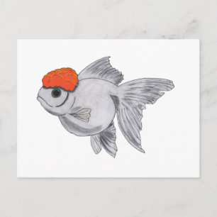 Witte en Oranje oranda Goldfish Aquarium Pet Fish Briefkaart