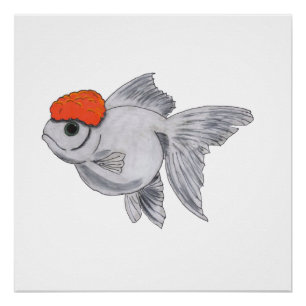 Witte en Oranje oranda Goldfish Aquarium Pet Fish Perfect Poster