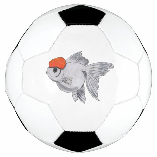 Witte en Oranje oranda Goldfish Aquarium Pet Fish Voetbal (Voorkant)