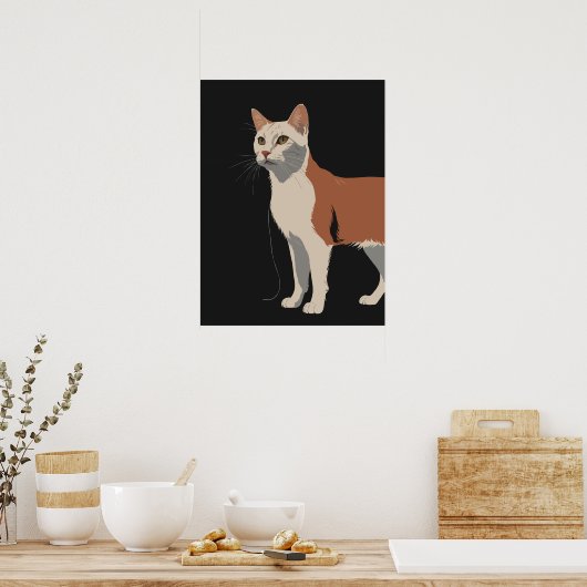 Witte en oranje poes op zwarte achtergrond poster (Keuken)