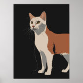 Witte en oranje poes op zwarte achtergrond poster (Voorkant)