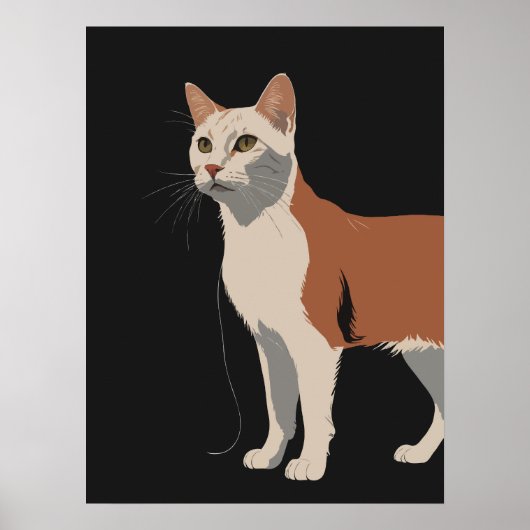 Witte en oranje poes op zwarte achtergrond poster (Voorkant)