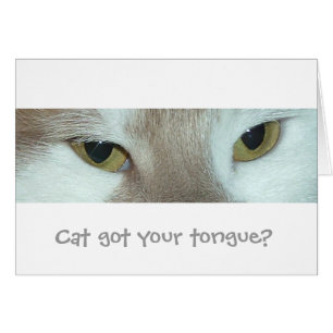 Witte en Oranje tablet