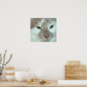 Witte en Oranje tablet Poster (Keuken)