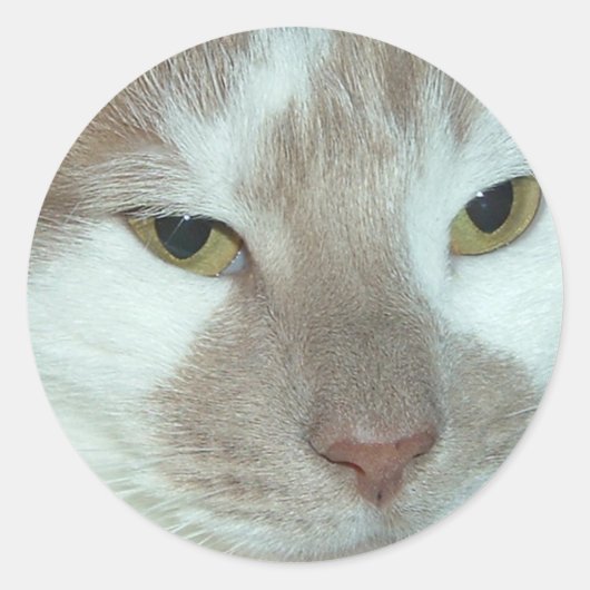 Witte en Oranje tablet Ronde Sticker (Voorkant)
