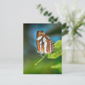 Witte en Oranje vlinder Briefkaart (Staand voorkant)