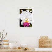 Witte en Paarse Cattleya Orchid Poster (Keuken)