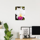 Witte en Paarse Cattleya Orchid Poster (Thuiskantoor)