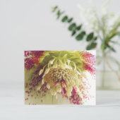 Witte en Paarse Hellebore Briefkaart (Staand voorkant)