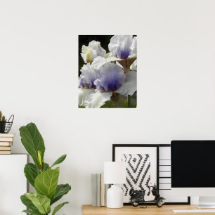 Witte en paarse Iris-bloemen bloemstuk Poster