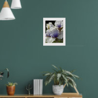 Witte en paarse Iris-bloemen bloemstuk