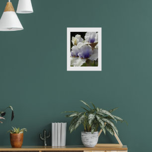 Witte en paarse Iris-bloemen bloemstuk Poster