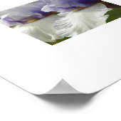 Witte en paarse Iris-bloemen bloemstuk Poster (Hoek)