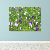 Witte en paarse krokussen uitzichten canvas print (Insitu (Houten vloer))