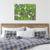 Witte en paarse krokussen uitzichten canvas print (Insitu (Slaapkamer))