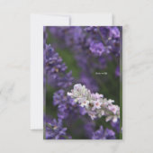 Witte en Paarse lavendel met achtergrond Notitiekaartje (Voorkant)