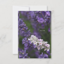 Witte en Paarse lavendel met achtergrond Notitiekaartje