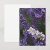 Witte en Paarse lavendel met achtergrond Notitiekaartje (Voorkant / Achterkant)