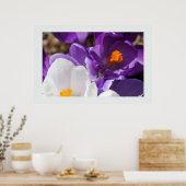 Witte en Paarse lentebloemen Poster (Keuken)