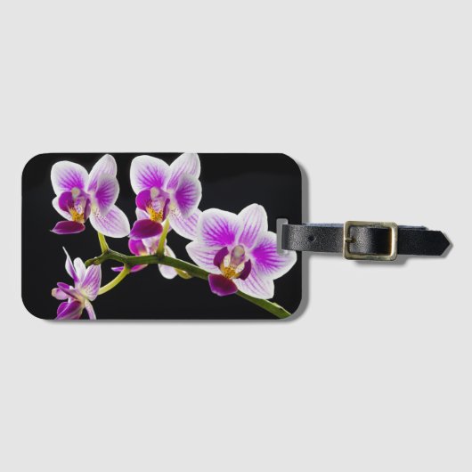 Witte en paarse orchidee bagagelabel (Voorkant (horizontaal))