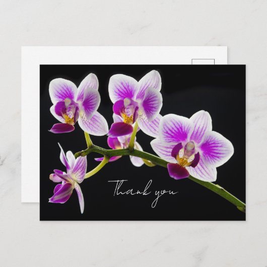 Witte en Paarse Orchidee Bedankkaartje Briefkaart (Voorkant / Achterkant)