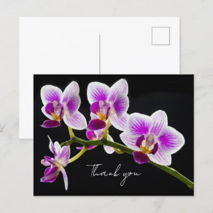 Witte en Paarse orchidee Dank je Briefkaart