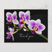 Witte en Paarse orchidee Dank je Briefkaart (Voorkant)