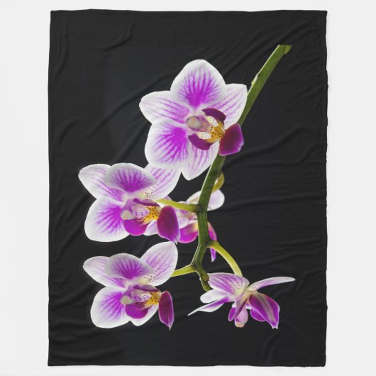 Witte en paarse orchidee fleece deken (Voorkant)