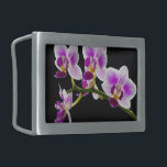 Witte en paarse orchidee gesp<br><div class="desc">Een mooie witte en paarse orchidee.</div>