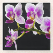 Witte en paarse orchidee glazen onderzetter (Voorkant)
