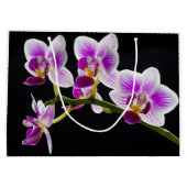 Witte en paarse orchidee groot cadeauzakje (Achterkant)