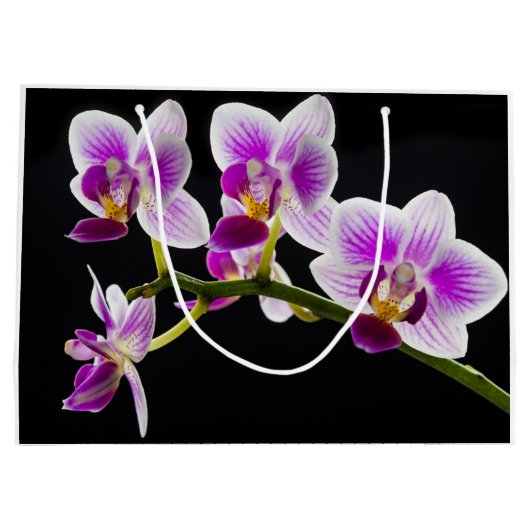 Witte en paarse orchidee groot cadeauzakje (Achterkant)