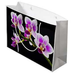 Witte en paarse orchidee groot cadeauzakje