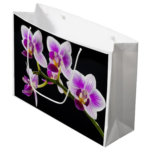 Witte en paarse orchidee groot cadeauzakje (Voorkant Gekanteld)