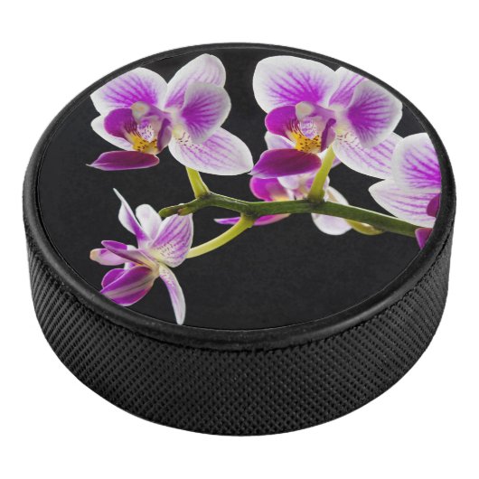 Witte en paarse orchidee hockey puck (3/4)