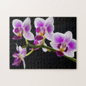 Witte en paarse orchidee legpuzzel (Horizontaal)