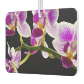 Witte en paarse orchidee luchtverfrisser (Links)