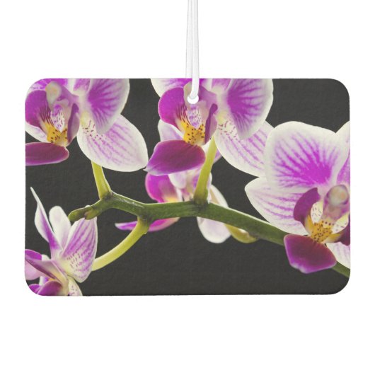 Witte en paarse orchidee luchtverfrisser (Voorkant)