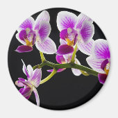 Witte en paarse orchidee magneet (Voorkant)