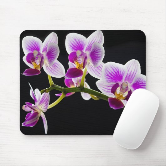 Witte en paarse orchidee muismat (Met muis)