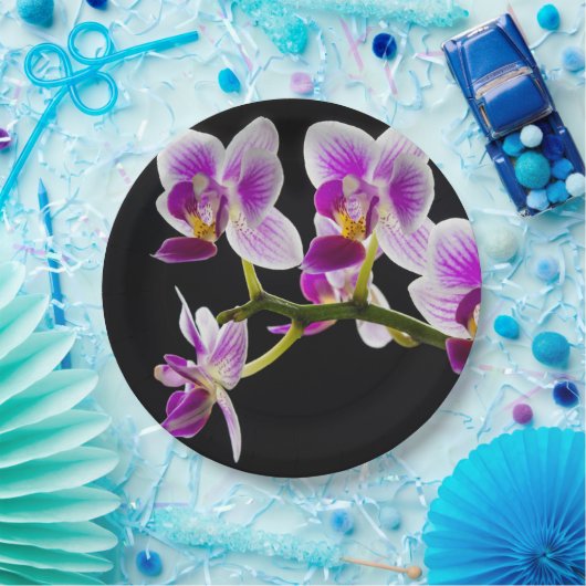 Witte en paarse orchidee papieren bordje (Feest)